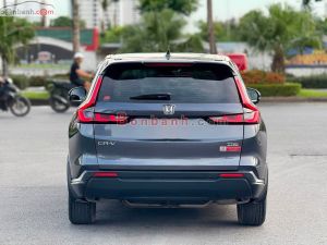 Xe Honda CRV L 2024