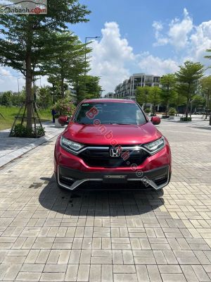 Xe Honda CRV L 2021